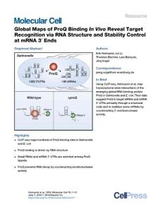 Global-Maps-of-ProQ-Binding-In-Vivo-Reveal-Target-Recognition-v_2018_Molecul