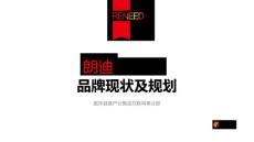 朗迪品牌现状及规划(alibaba)