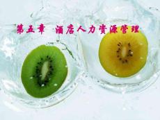 《现代酒店管理概论》第五章