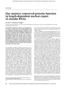 Genes Dev.-2018-Wan-600-1-Size matters conserved proteins function in length-dependent nuclear export of circular RNAs