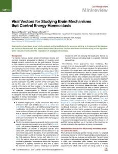 Viral-Vectors-for-Studying-Brain-Mechanisms-that-Control-En_2018_Cell-Metabo