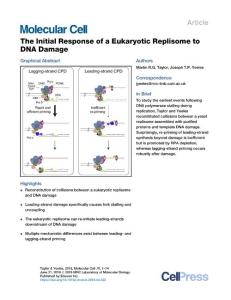 The-Initial-Response-of-a-Eukaryotic-Replisome-to-DNA-Dam_2018_Molecular-Cel