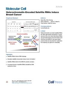 Heterochromatin-Encoded-Satellite-RNAs-Induce-Breast-Canc_2018_Molecular-Cel