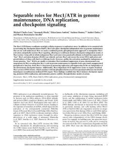 Genes Dev.-2018-Lanz-Separable roles for Mec1:ATR in genome maintenance, DNA replication, and checkpoint signaling