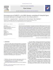 【OsRDCP1】Overexpression of OsRDCP1, a rice RING domain-containing E3 ubiquitin ligase, increased tolerance to drought stress in rice (Oryza sativa L.)