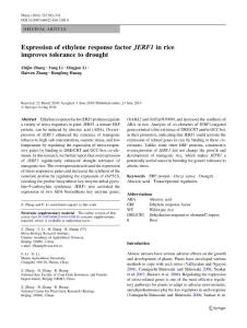 【JERF1】Expression of ethylene response factor JERF1 in rice improves tolerance to drought