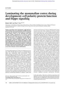 Genes Dev.-2018-Abdi-740-1-Laminating the mammalian cortex during development cell polarity protein function and Hippo signaling