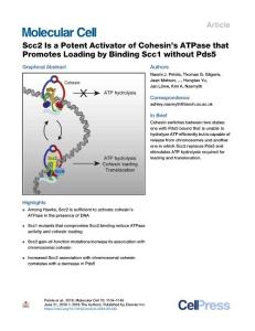 Scc2-Is-a-Potent-Activator-of-Cohesin-s-ATPase-that-Promotes-L_2018_Molecula