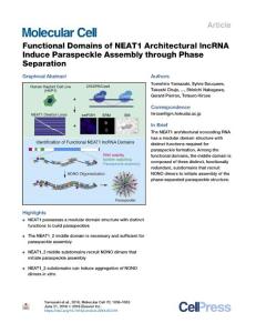 Functional-Domains-of-NEAT1-Architectural-lncRNA-Induce-Parasp_2018_Molecula
