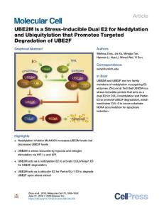 UBE2M-Is-a-Stress-Inducible-Dual-E2-for-Neddylation-and-Ubiquit_2018_Molecul