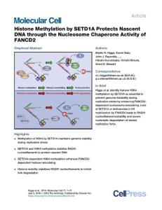 Histone-Methylation-by-SETD1A-Protects-Nascent-DNA-through-the_2018_Molecula