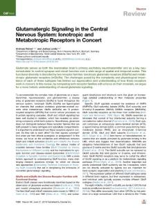 Glutamatergic-Signaling-in-the-Central-Nervous-System--Ionotropic-a_2018_Neu