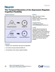 The-Temporal-Dynamics-of-Arc-Expression-Regulate-Cognitive-Flexib_2018_Neuro