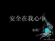 安全在我心中
