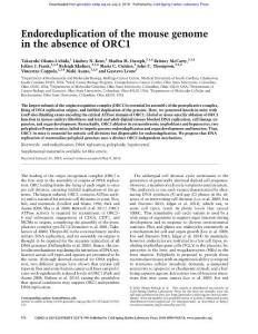 Genes Dev.-2018-Okano-Uchida-978-90-Endoreduplication of the mouse genome in the absence of ORC1