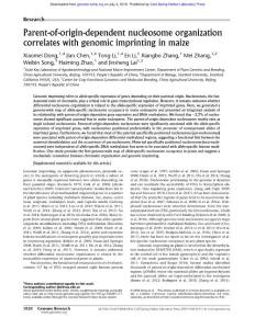 Genome Res.-2018-Dong-1020-8-Parent-of-origin-dependent nucleosome organization correlates with genomic imprinting in maize