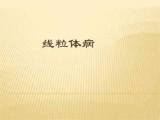 线粒体脑肌病ppt课件