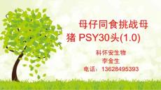 母仔同食挑战母猪PSY30头