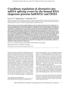 Genes Dev.-2018-Lee-Coordinate regulation of alternative pre- mRNA splicing events by the human RNA chaperone proteins hnRNPA1 and DDX5