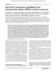 Genome Res.-2018-Kakrana-Plant 24-nt reproductive phasiRNAs from intramolecular duplex mRNAs in diverse monocots