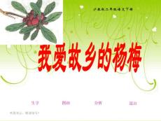 【精品】沪教版二年级语文下册《我爱故乡的杨梅 1》PPT课件