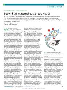 nn.2018-Beyond the maternal epigenetic legacy