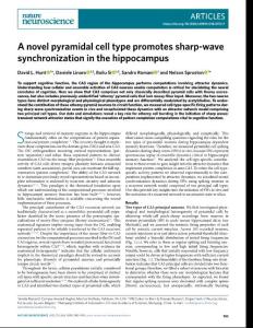 nn.2018-A novel pyramidal cell type promotes sharp-wave synchronization in the hippocampus