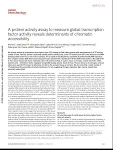 nbt.4138-A protein activity assay to measure global transcription factor activity reveals determinants of chromatin accessibility