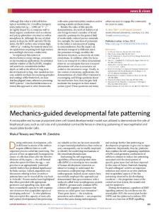 nmat.2018-Mechanics-guided developmental fate patterning