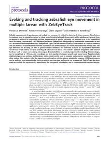nprot.2018-Evoking and tracking zebrafish eye movement in multiple larvae with ZebEyeTrack