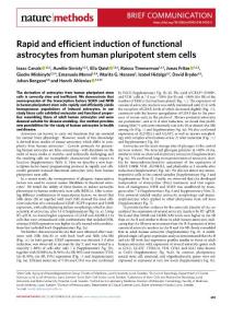 nmeth.2018-Rapid and efficient induction of functional astrocytes from human pluripotent stem cells