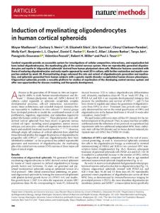 nmeth.2018-Induction of myelinating oligodendrocytes in human cortical spheroids