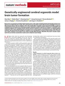 nmeth.2018-Genetically engineered cerebral organoids model brain tumor formation