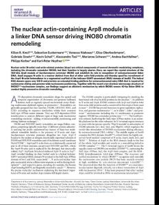 nsmb.2018-The nuclear actin-containing Arp8 module is a linker DNA sensor driving INO80 chromatin remodeling