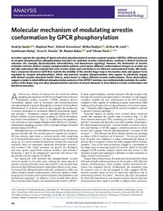 nsmb.2018-Molecular mechanism of modulating arrestin conformation by GPCR phosphorylation