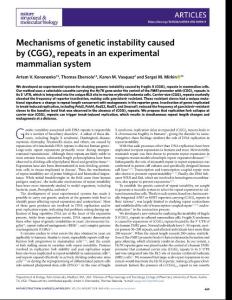 nsmb.2018-Mechanisms of genetic instability caused by (CGG)n repeats in an experimental mammalian system