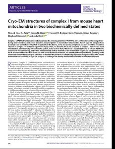 nsmb.2018-Cryo-EM structures of complex I from mouse heart mitochondria in two biochemically defined states