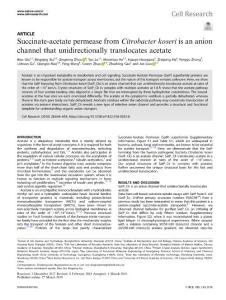 cr.2018-Succinate-acetate permease from Citrobacter koseri is an anion channel that unidirectionally translocates acetate