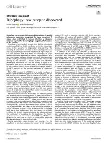 cr.2018-Ribophagy- new receptor discovered