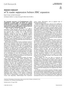 cr.2018-m6A reader suppression bolsters HSC expansion