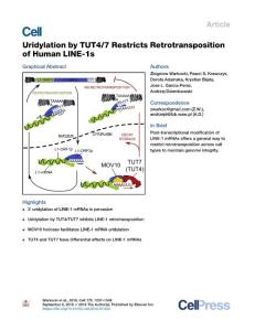 Uridylation-by-TUT4-7-Restricts-Retrotransposition-of-Human-LINE-1s_2018_Cel