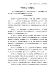 學(xué)生社會(huì)實(shí)踐報(bào)告范文模板.doc
