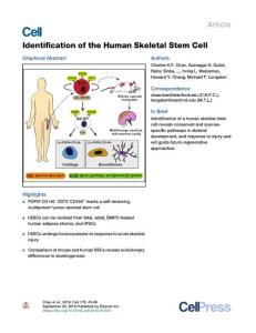 Identification-of-the-Human-Skeletal-Stem-Cell_2018_Cell