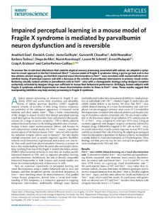 nn.2018-Impaired perceptual learning in a mouse model of Fragile X syndrome is mediated by parvalbumin neuron dysfunction and is reversible