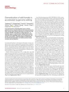 nbt.4273-Domestication of wild tomato is accelerated by genome editing