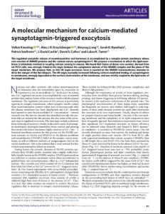 nsmb.2018-A molecular mechanism for calcium-mediated synaptotagmin-triggered exocytosis