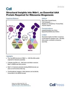 Structural-Insights-into-Mdn1--an-Essential-AAA-Protein-Required-fo_2018_Cel