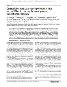 Genome Res.-2018-Fu-Crosstalk between alternative polyadenylation and miRNAs in the regulation of protein translational efficiency