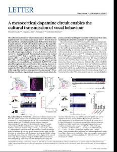 nature.2018-A mesocortical dopamine circuit enables the cultural transmission of vocal behaviour