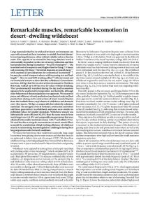 nature.2018-Remarkable muscles, remarkable locomotion in desert-dwelling wildebeest